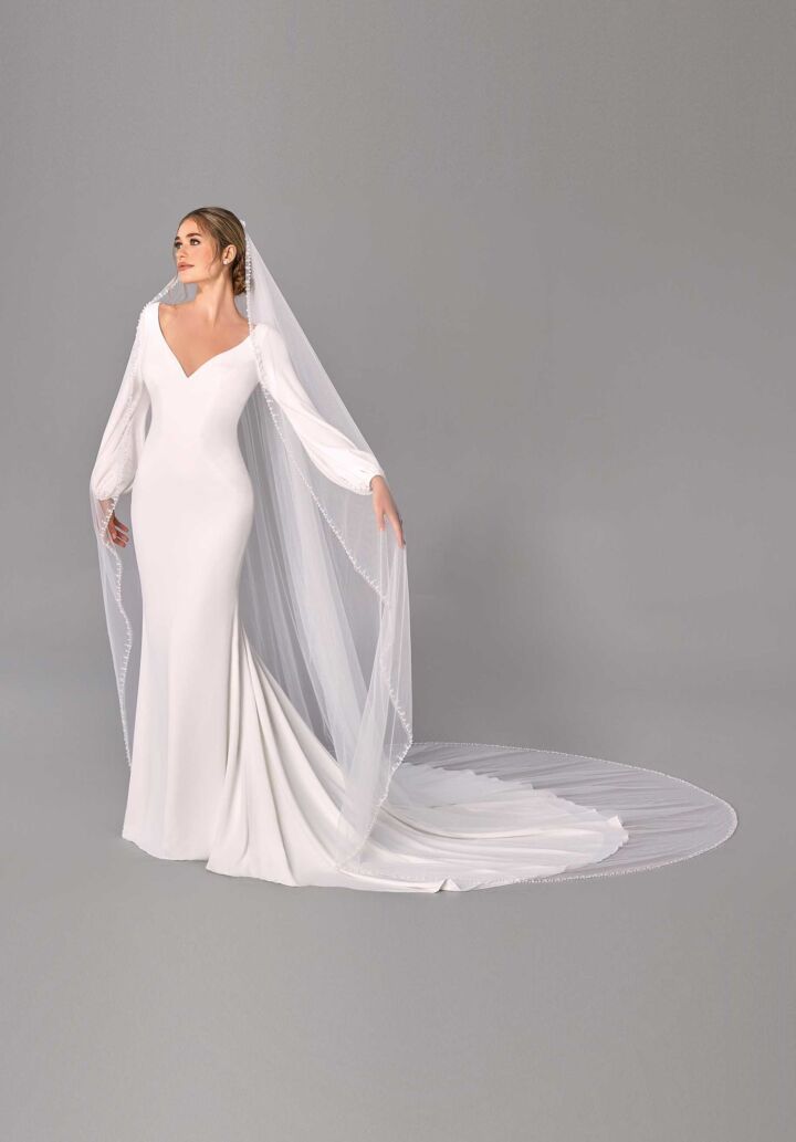 12219 - Sposabella Bridal