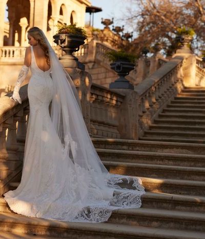 Honour by Veni Infantino